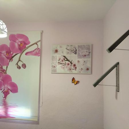 فيلا La Casita De Ana. Puerta Valencia. Casco Antiguo كوينكا المظهر الخارجي الصورة